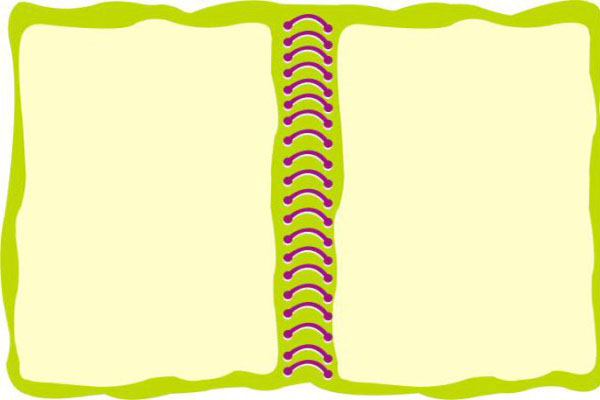 【篮球协会换届发言稿】微博协会换届发言稿