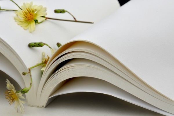 【高校校长毕业典礼讲话稿】高校新生报告会校长讲话稿